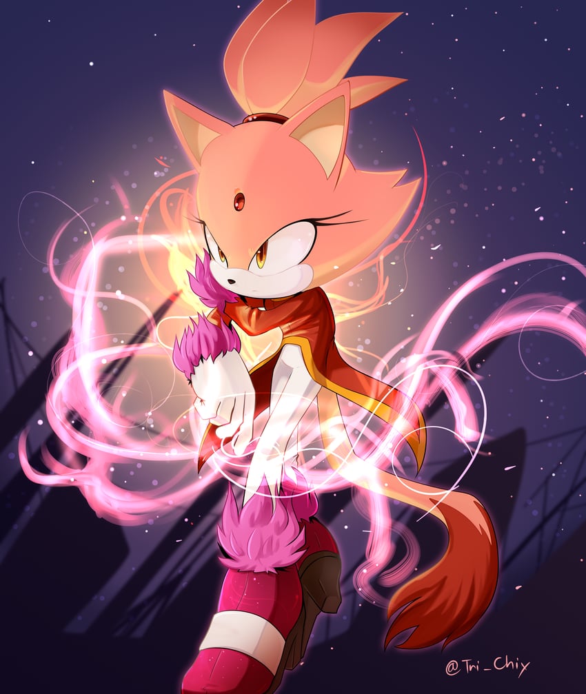 blaze the cat and burning blaze (sonic and 1 more) drawn by tri-chiy