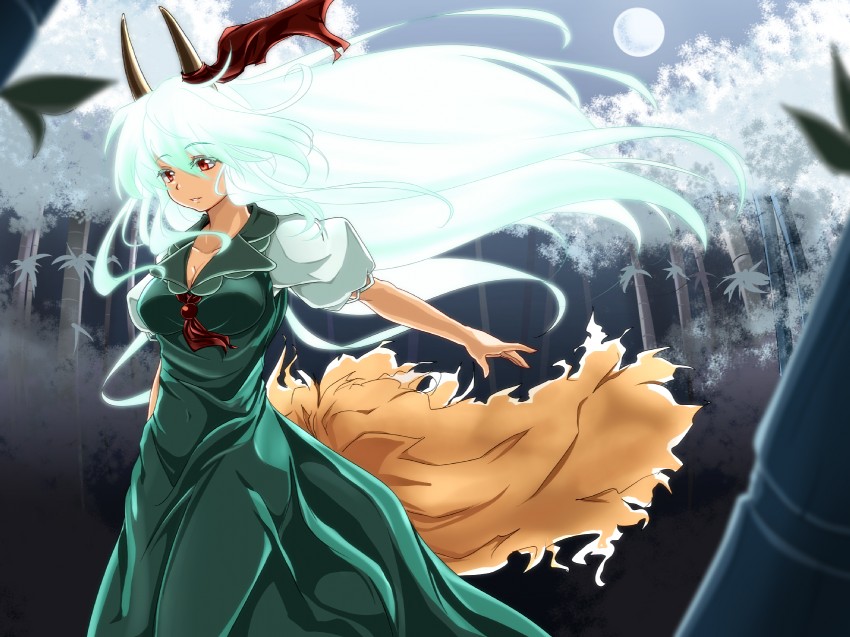 kamishirasawa keine and ex-keine (touhou) drawn by kamo_(yokaze)