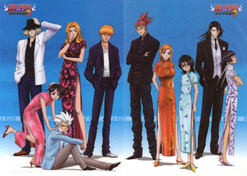 kuchiki rukia, inoue orihime, kurosaki ichigo, matsumoto rangiku, sui-feng, and 5 more (bleach)