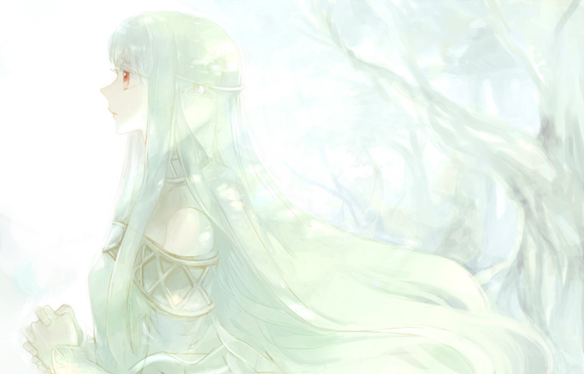 ninian (fire emblem and 1 more) drawn by kuzumosu