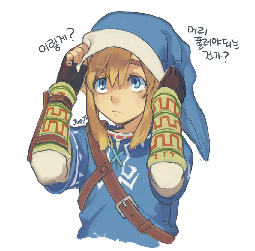 link (the legend of zelda and 1 more) drawn by juby