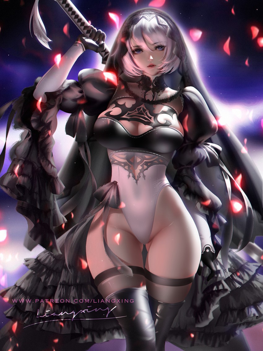 2b (nier and 1 more) drawn by liang_xing