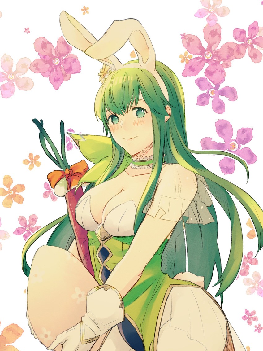 palla (fire emblem and 2 more) drawn by nishimura_(shinchinagachi)