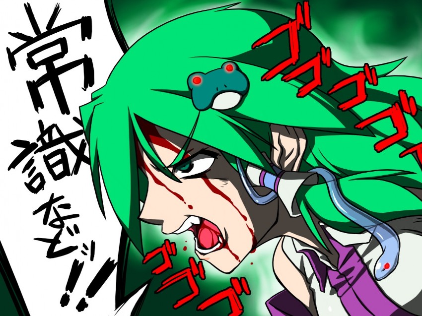 kochiya sanae (touhou) drawn by cinnamon_sabaku