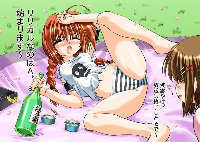 yagami hayate and vita (lyrical nanoha and 2 more) drawn by marui