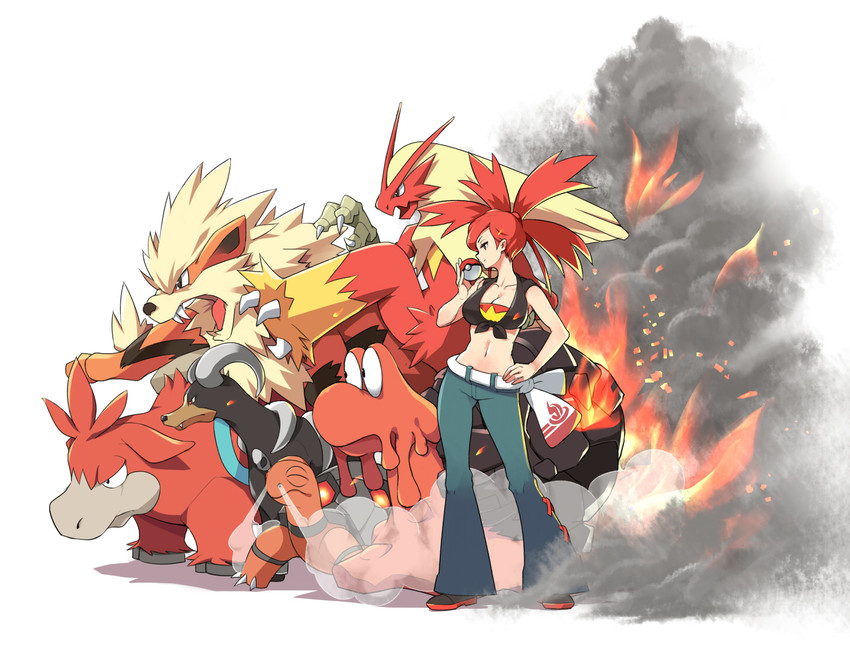 arcanine, blaziken, houndoom, flannery, torkoal, and 2 more (pokemon and 1 more) drawn by tm_(hanamakisan)