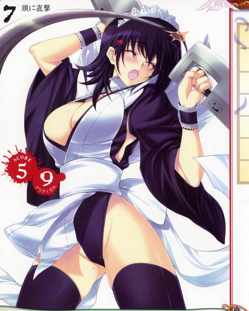 iroha (queen's blade and 2 more) drawn by iizuki_tasuku