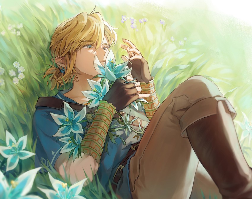 link (the legend of zelda and 1 more) drawn by vivi8872