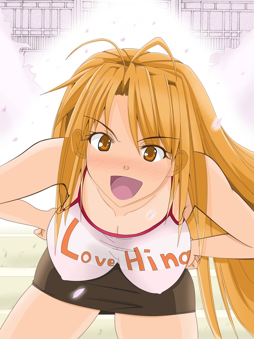 narusegawa naru (love hina) drawn by toko5121
