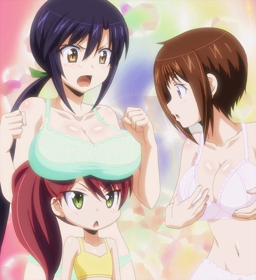 wakana ui, misumi rin, and sawatari makoto (okusama ga seito kaichou!)