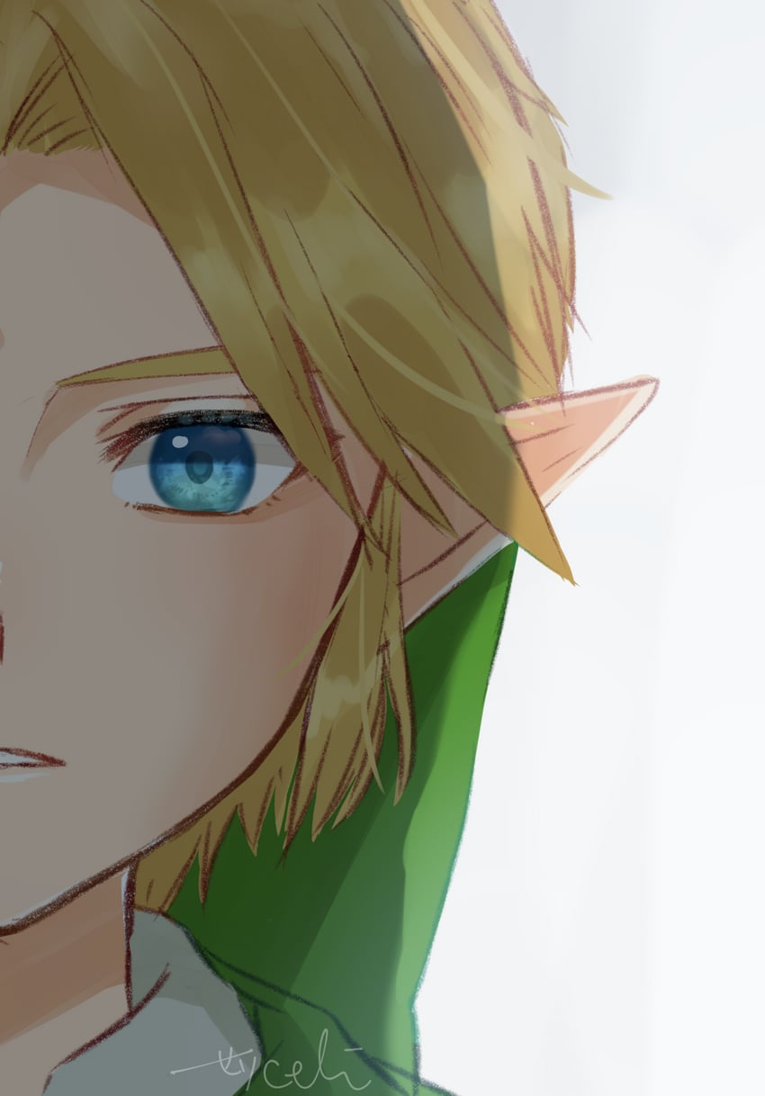link (the legend of zelda and 1 more) drawn by seri_(yuukasakura)