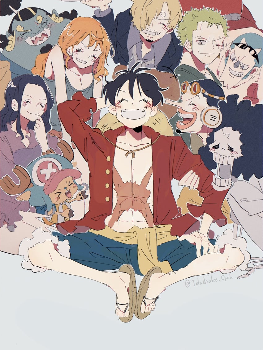 nami, monkey d. luffy, nico robin, roronoa zoro, sanji, and 5 more (one piece) drawn by telushake_opnk