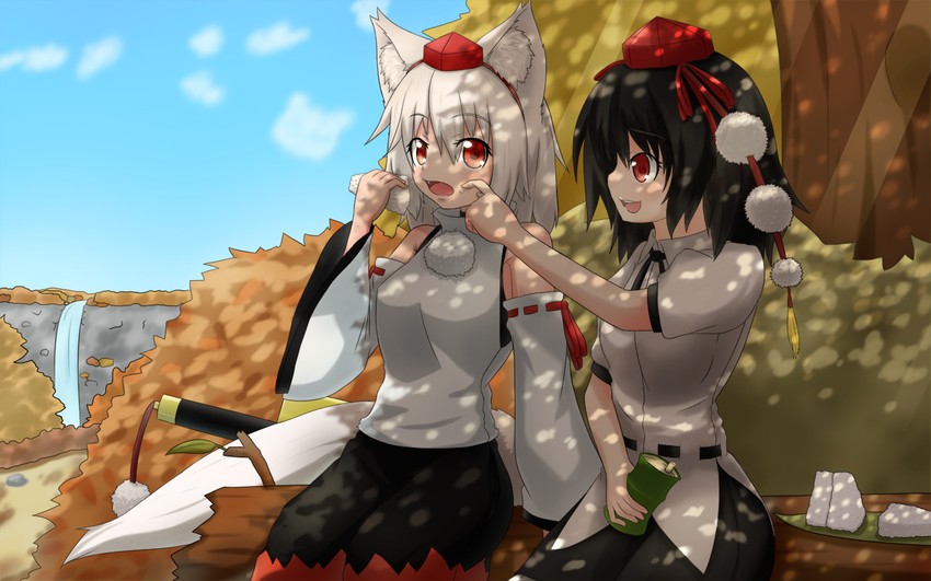 shameimaru aya and inubashiri momiji (touhou) drawn by shijia_ba