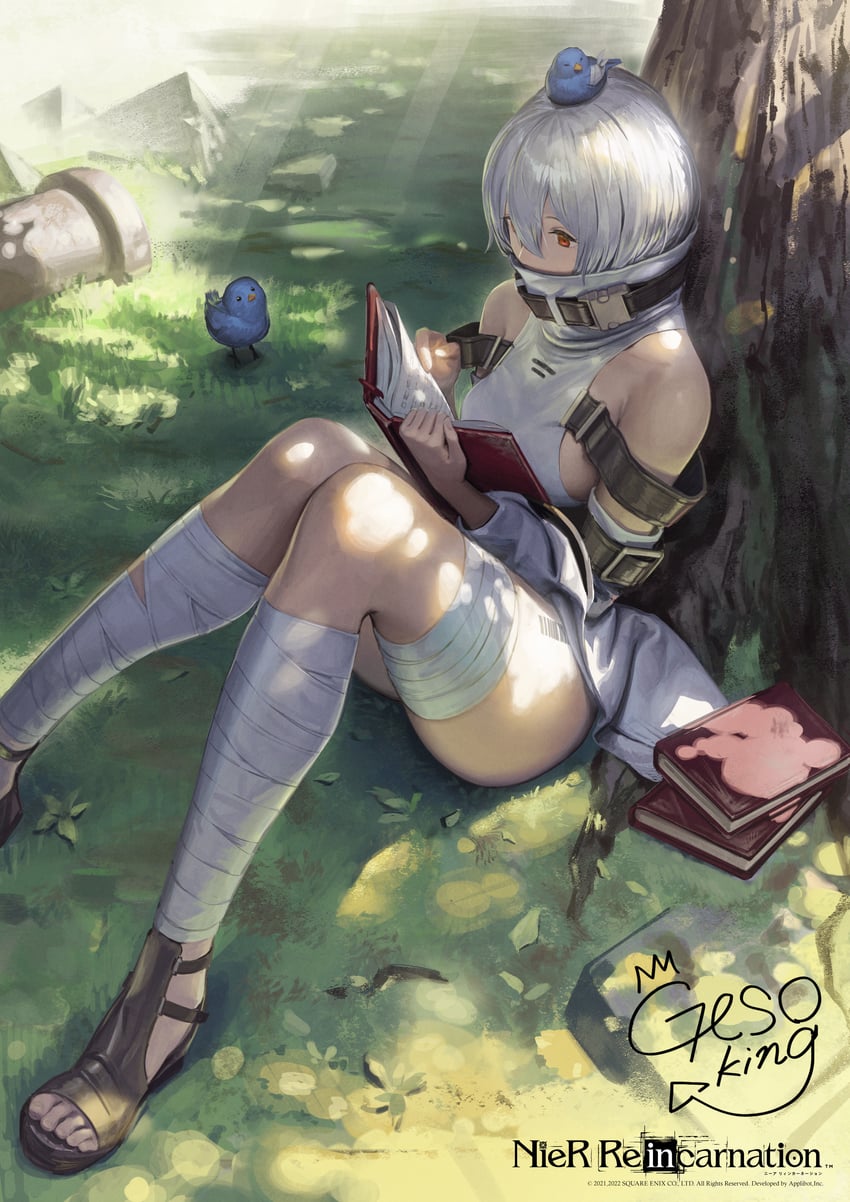 noelle (nier and 1 more) drawn by gesoking