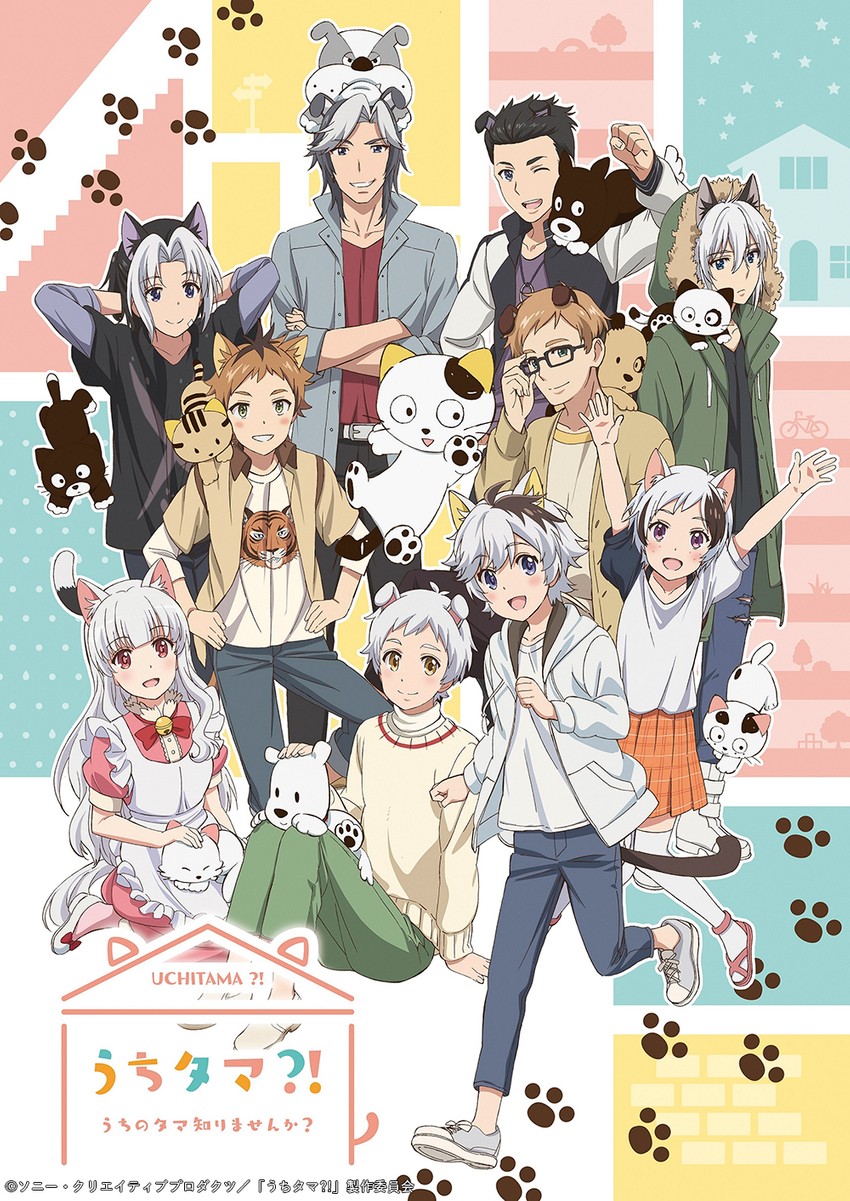 tama, okamoto tama, pochi, tora, yamada pochi, and 9 more (uchitama?! and 1 more)