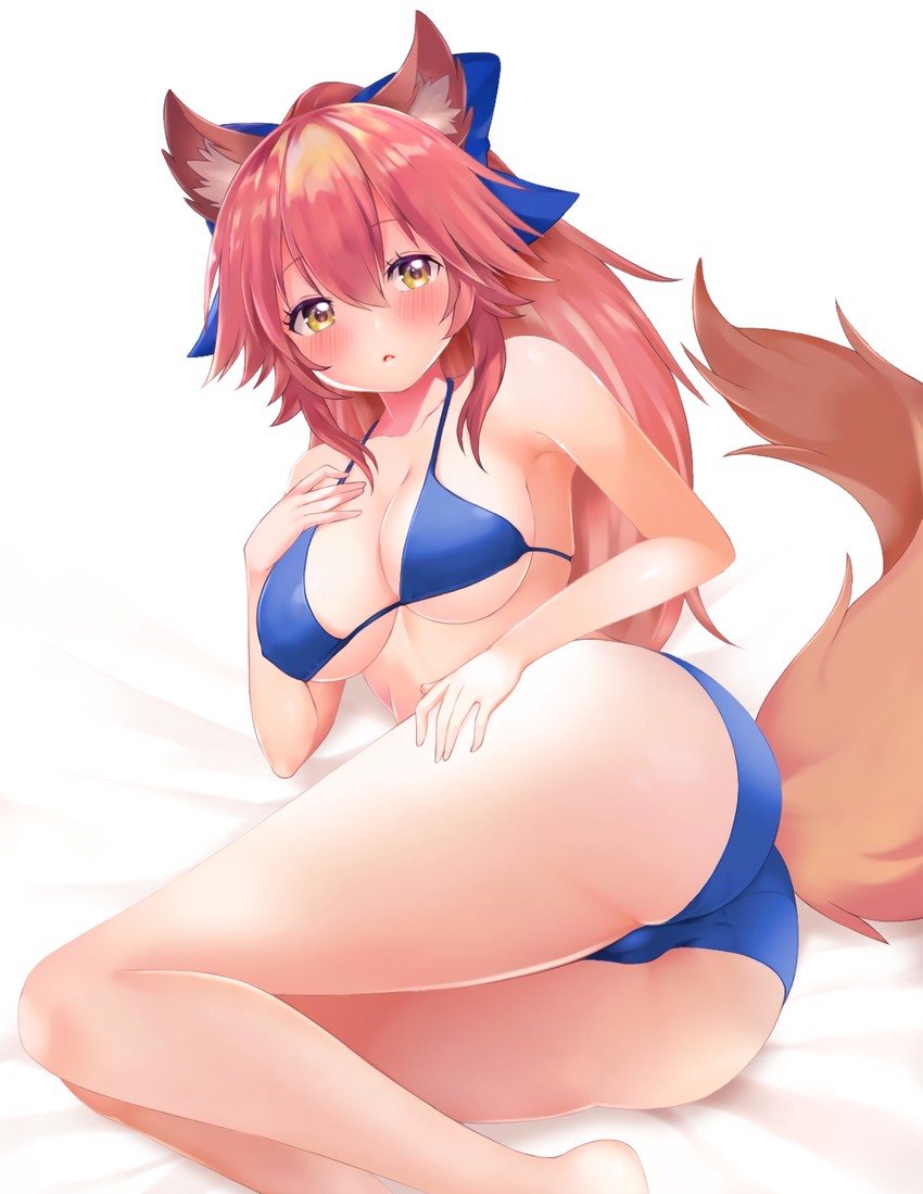 tamamo and tamamo no mae (fate and 1 more) drawn by sabi1234