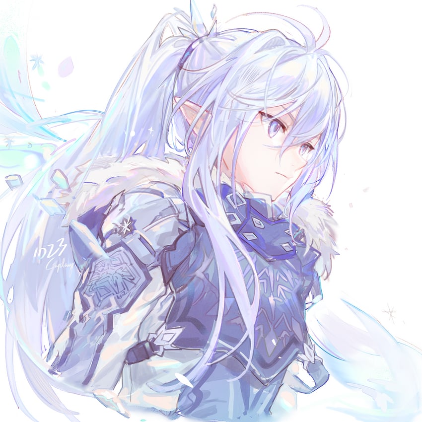 male mage and glacial master (dungeon and fighter) drawn by csyday