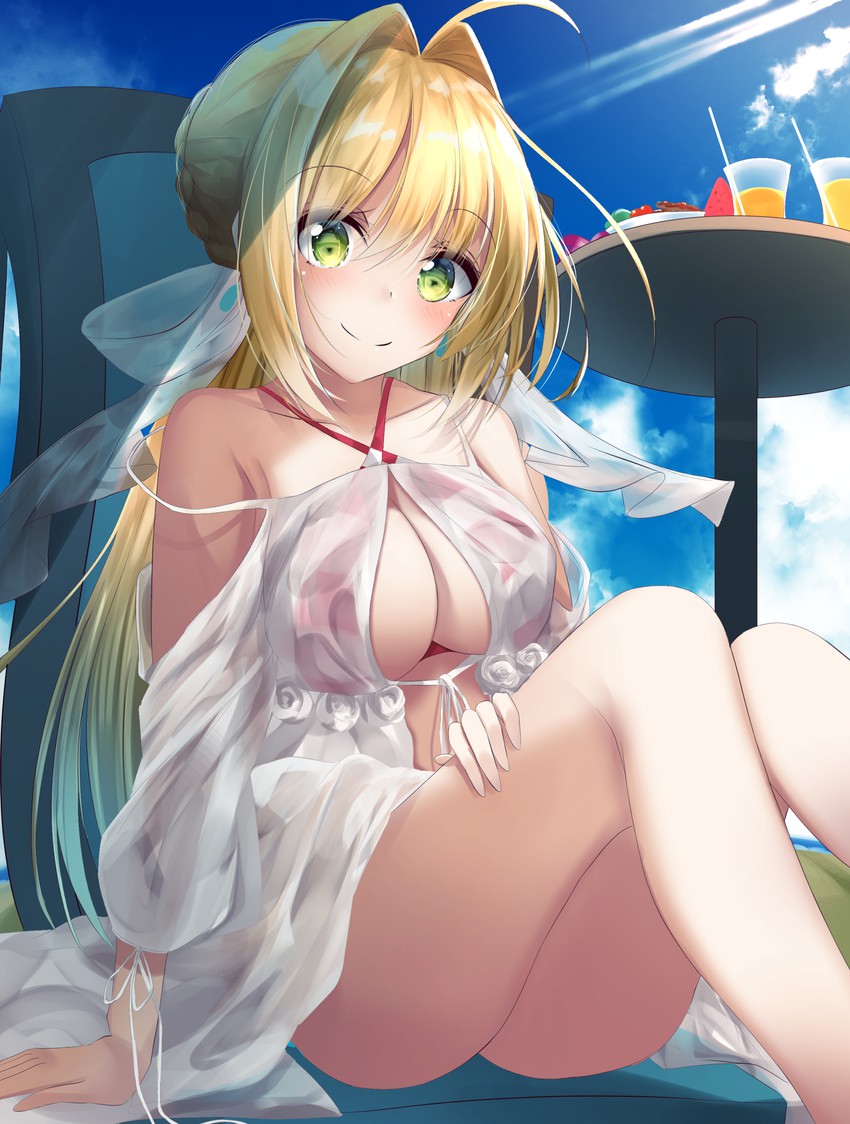 nero claudius (fate and 1 more) drawn by suisen-21