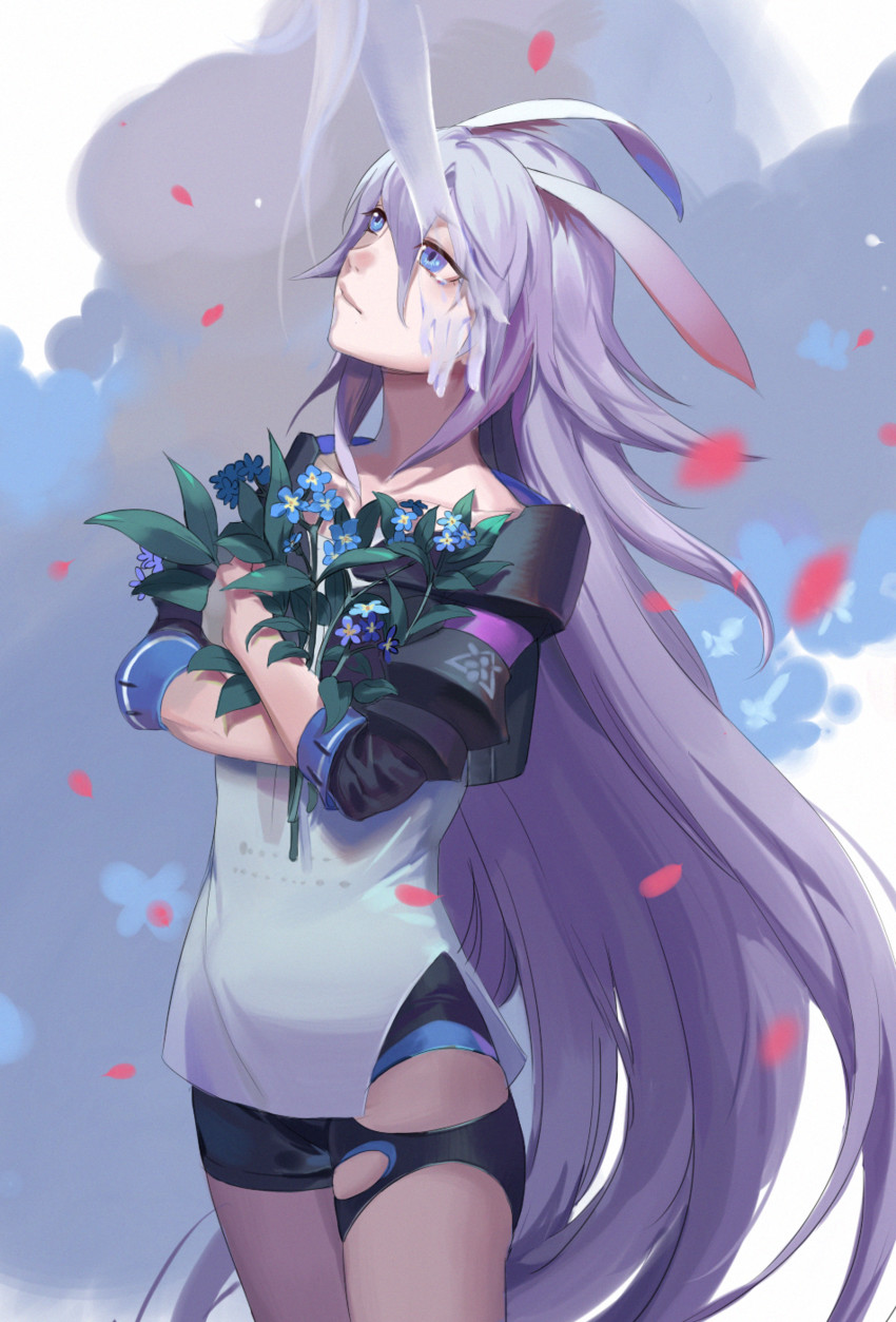 yae sakura (honkai and 1 more) drawn by 791_(meiyuewudi)