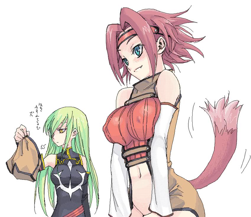 c.c. and kouzuki kallen (code geass) drawn by satou_atsuki