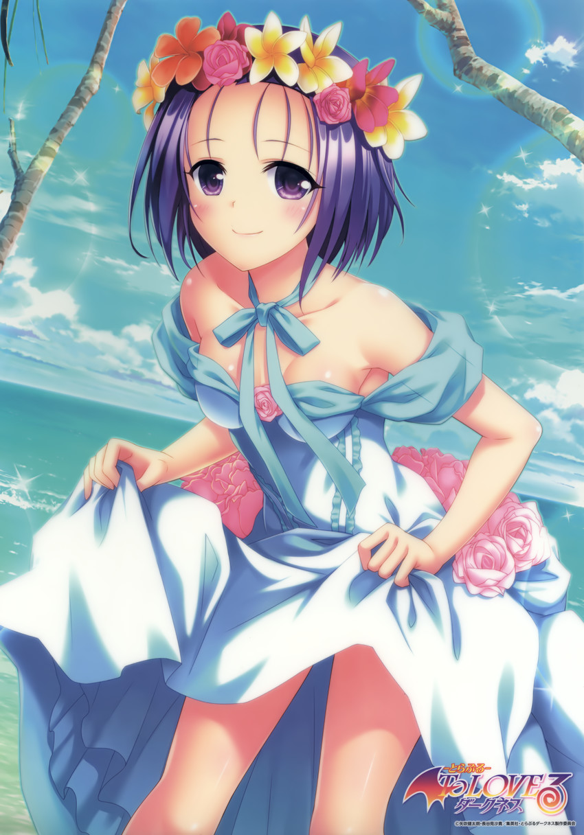sairenji haruna (to love-ru and 1 more) drawn by yabuki_kentarou