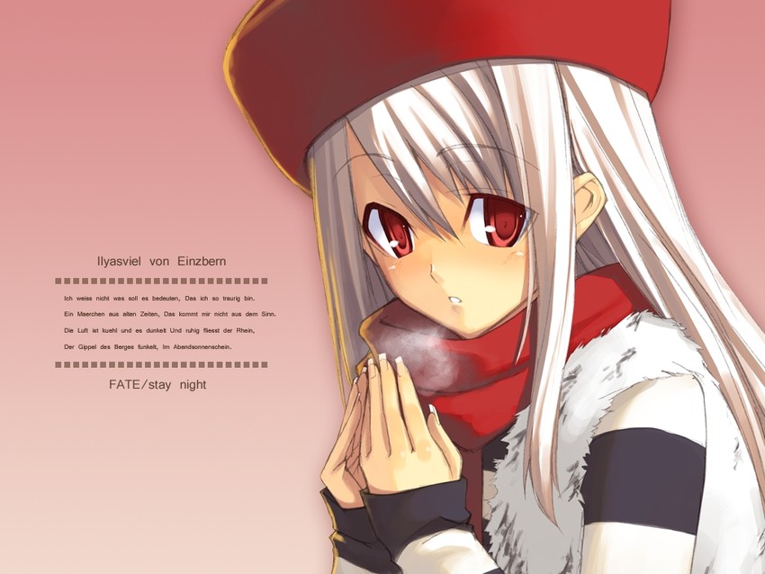 illyasviel von einzbern (fate and 1 more) drawn by shingo_(missing_link)