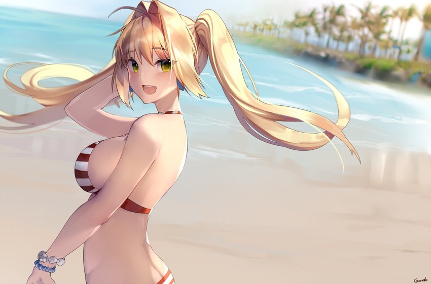 nero claudius (fate and 1 more) drawn by gendo0032
