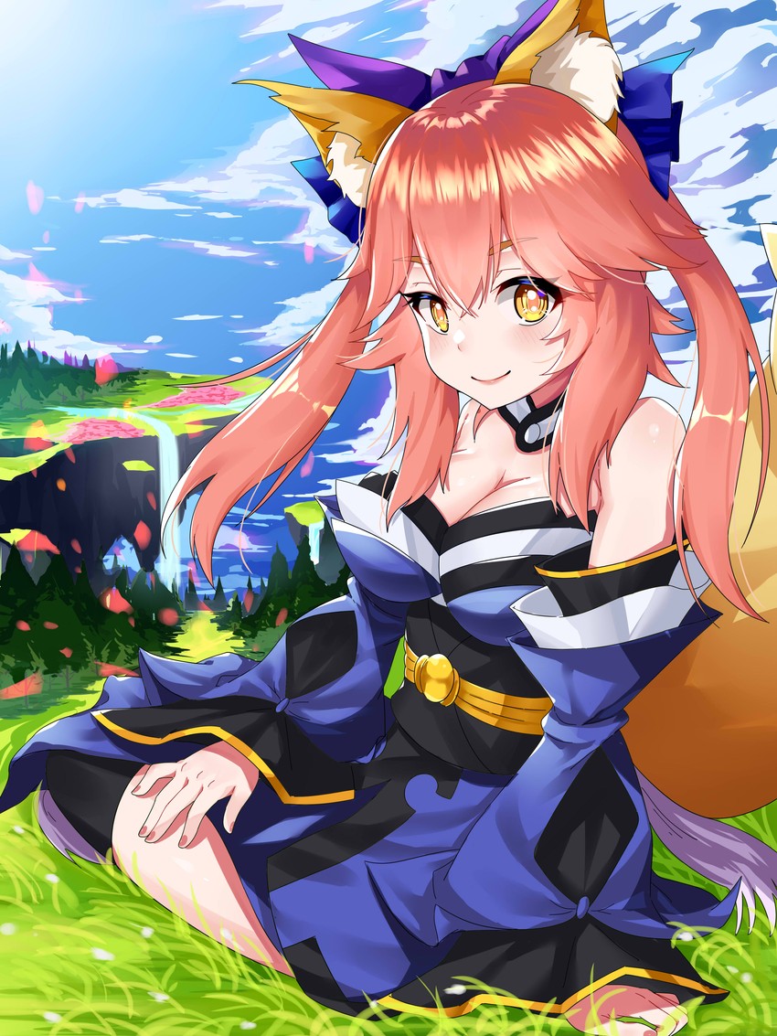 tamamo and tamamo no mae (fate and 4 more) drawn by erdongjinming
