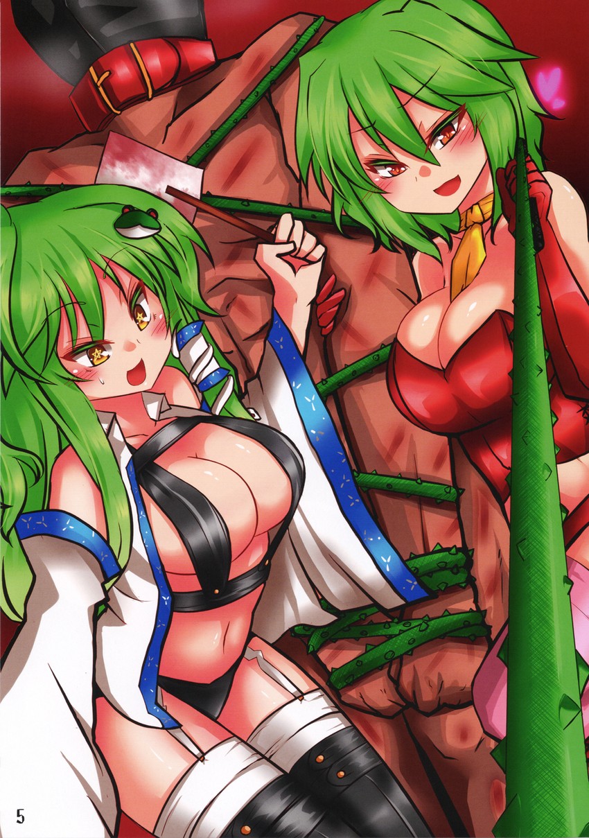 kochiya sanae and kazami yuuka (touhou) drawn by roki_(hirokix)