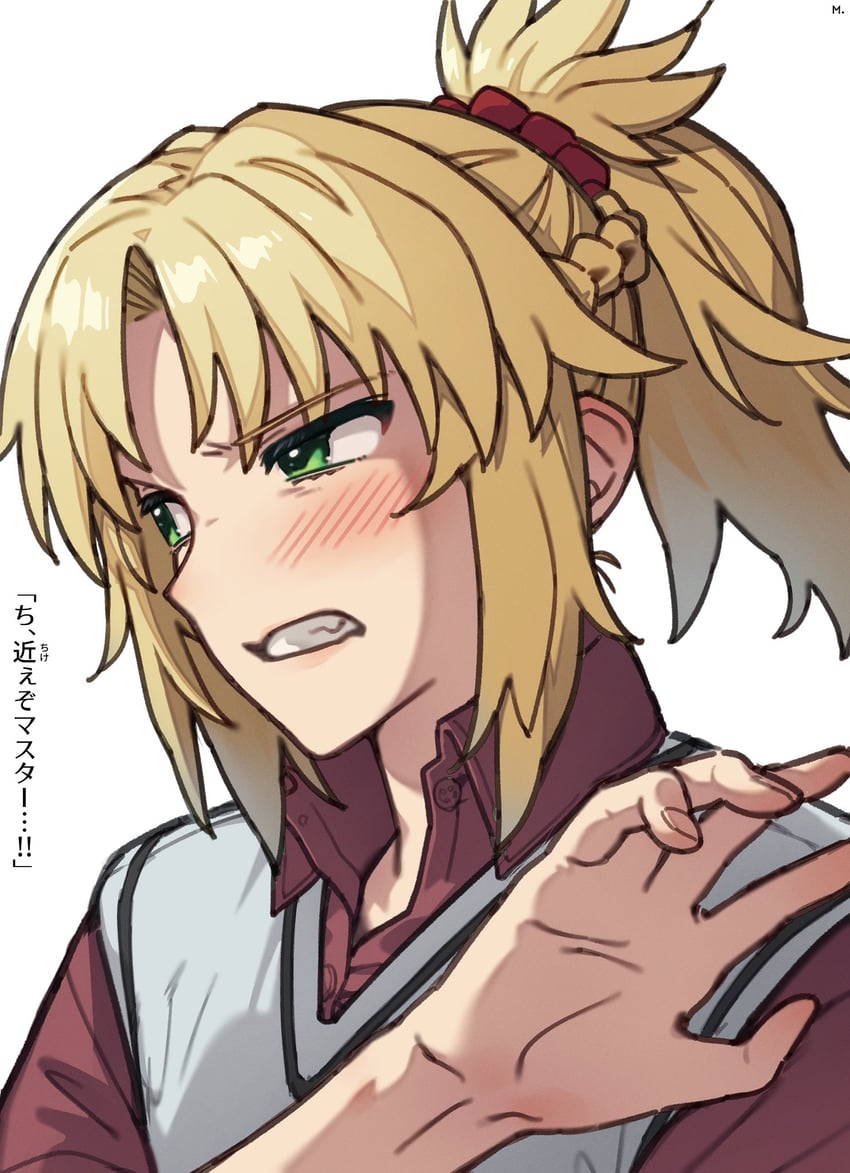 mordred (fate and 1 more) drawn by mitsurugi_sugar