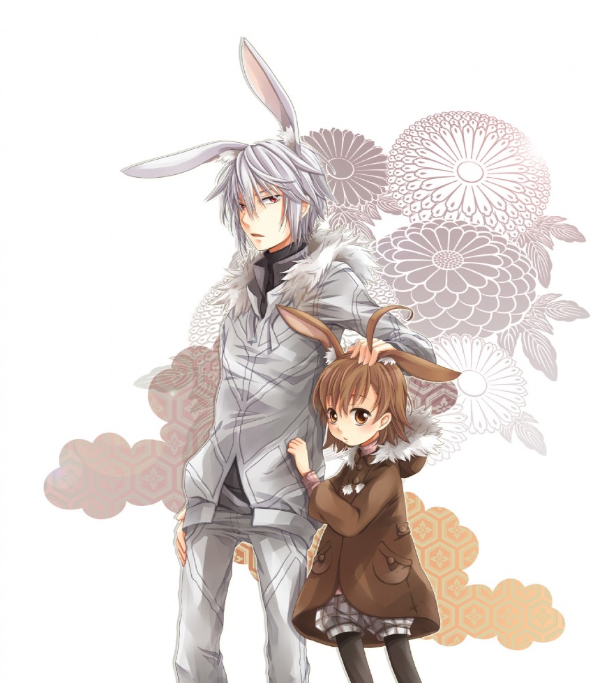 accelerator and last order (toaru majutsu no index) drawn by meso_(goma-meso)