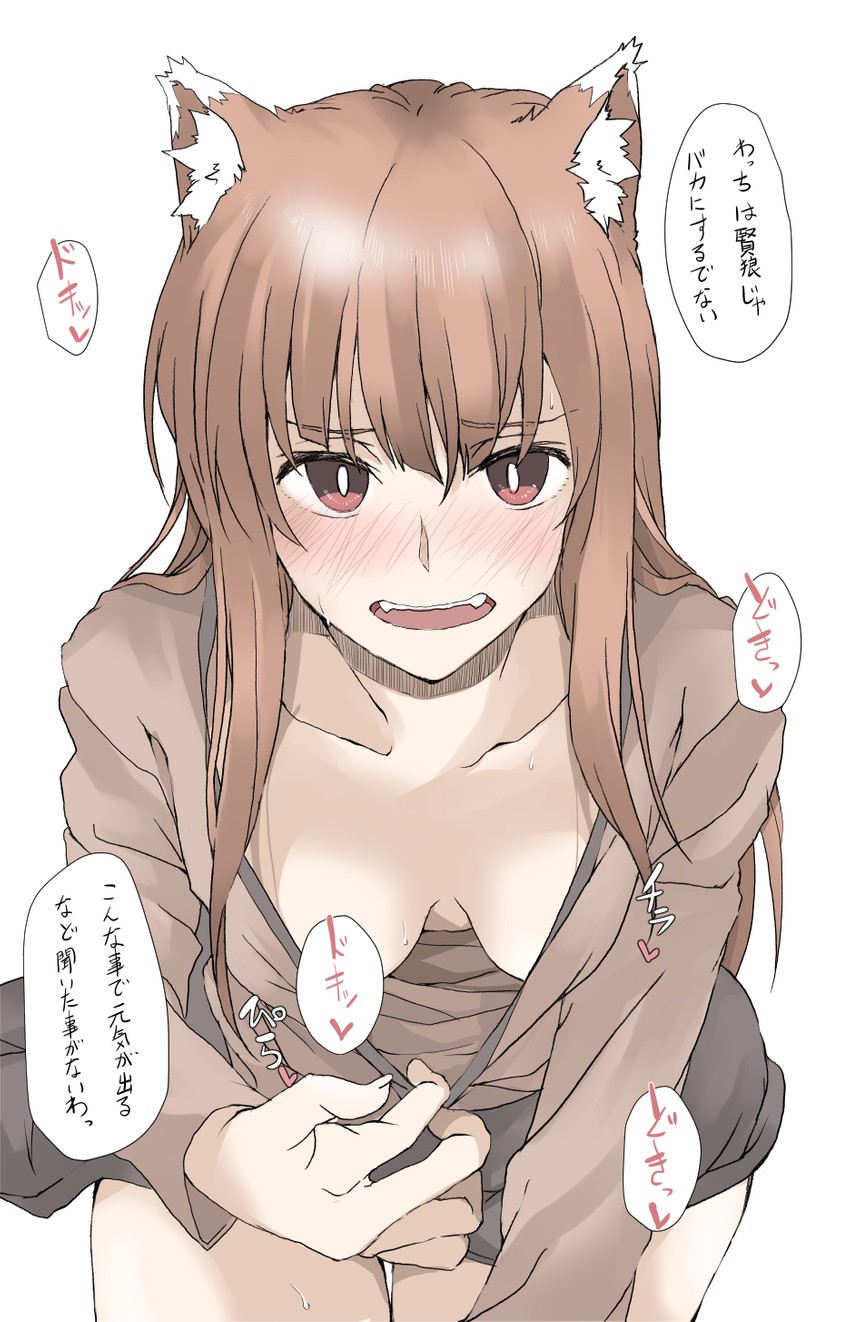 holo (spice and wolf) drawn by elf_(stroll_in_the_woods)
