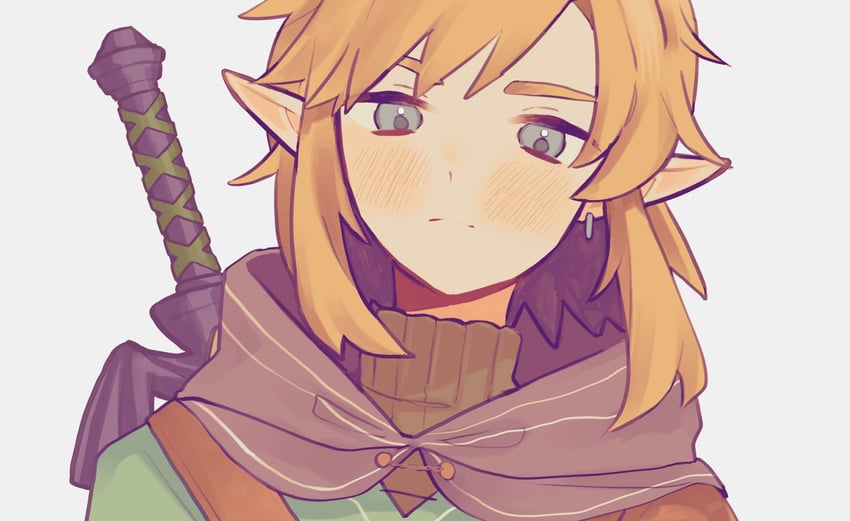 link (the legend of zelda and 1 more) drawn by 710kcal