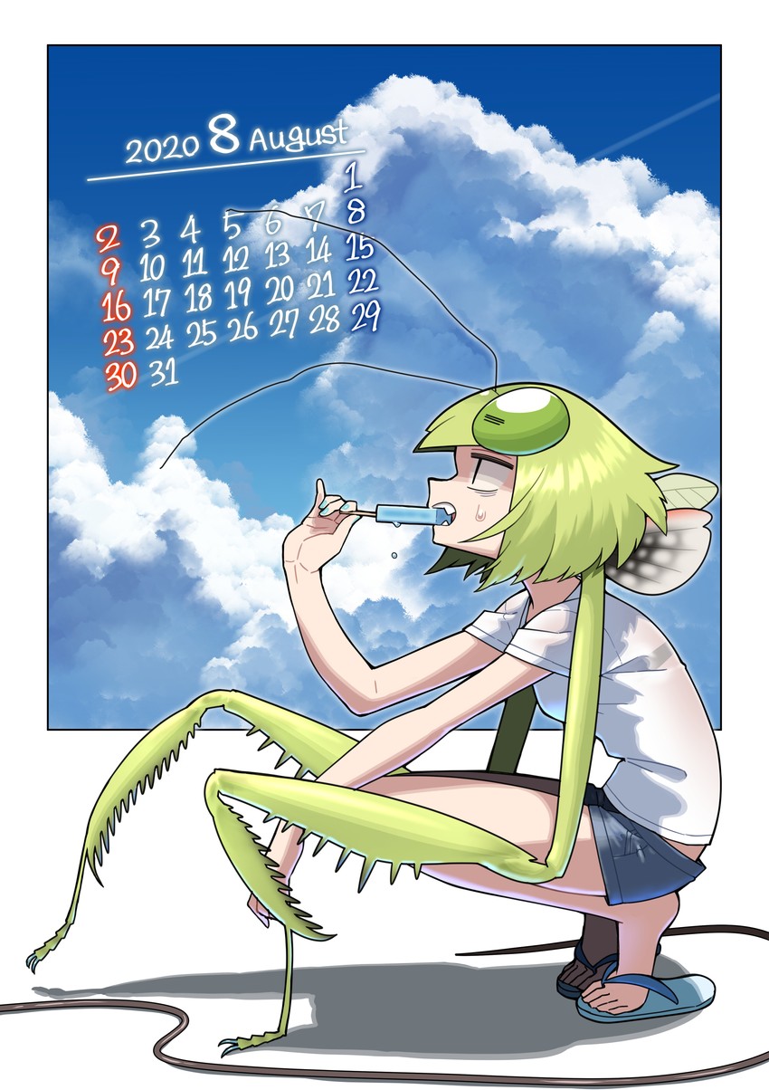 mantis akiyama (original and 1 more) drawn by evolvingmonkey
