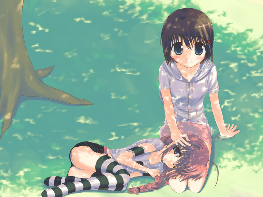 yagami hayate and vita (lyrical nanoha and 2 more) drawn by lowe_(slow)