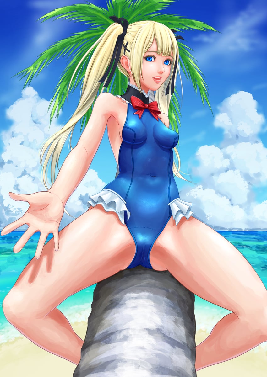 marie rose (dead or alive) drawn by mitei_(pixiv2505037)