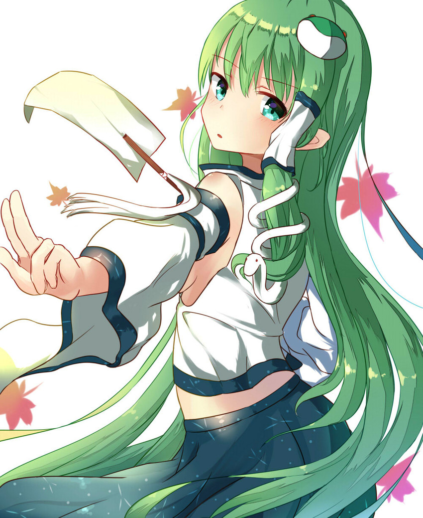 kochiya sanae (touhou) drawn by kara_(color1087)