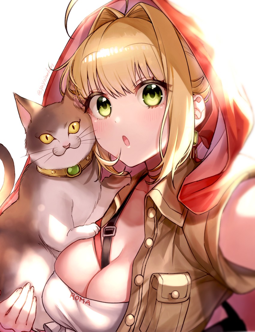 nero claudius (fate and 2 more) drawn by yayoi_maka
