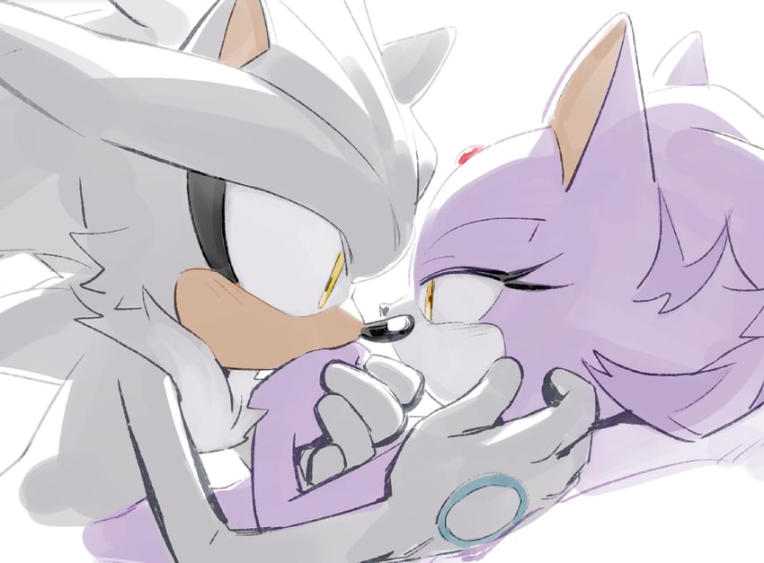 blaze the cat and silver the hedgehog (sonic) drawn by miijiu
