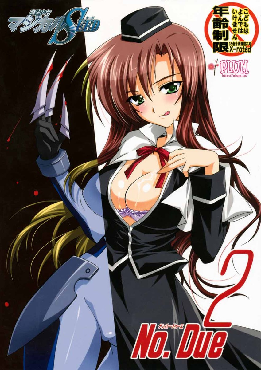 due (lyrical nanoha and 1 more) drawn by kanna_(plum)