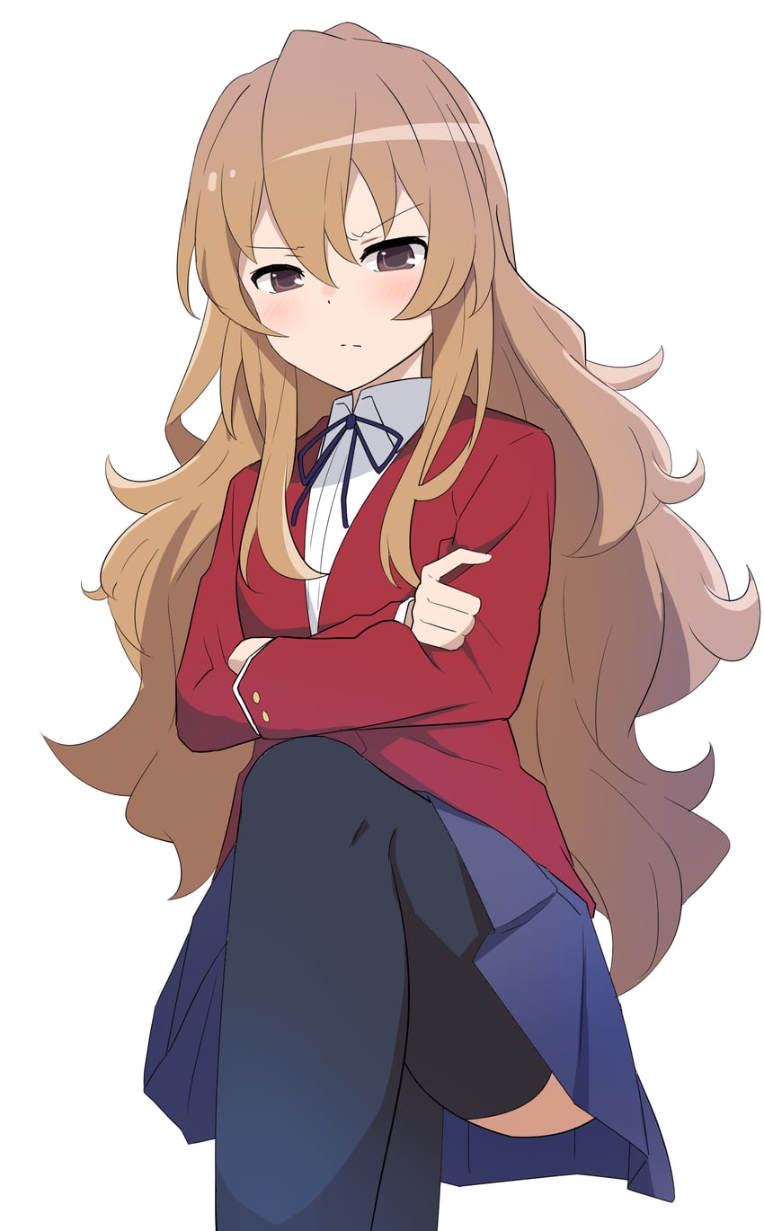 aisaka taiga (toradora!) drawn by hotori_(sharo_pan)