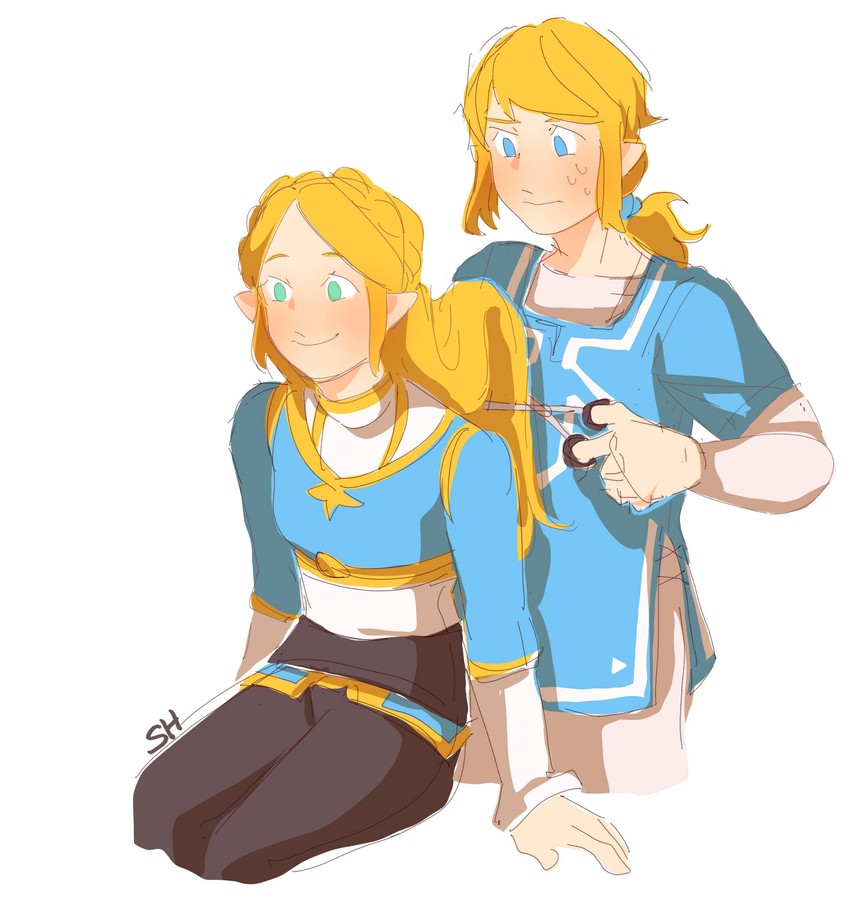 link and princess zelda (the legend of zelda and 2 more) drawn by shahaechan