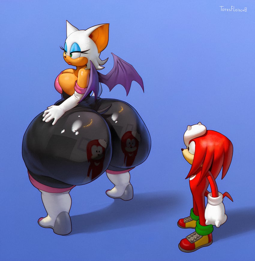 rouge the bat and knuckles the echidna (sonic) drawn by totesfleisch8