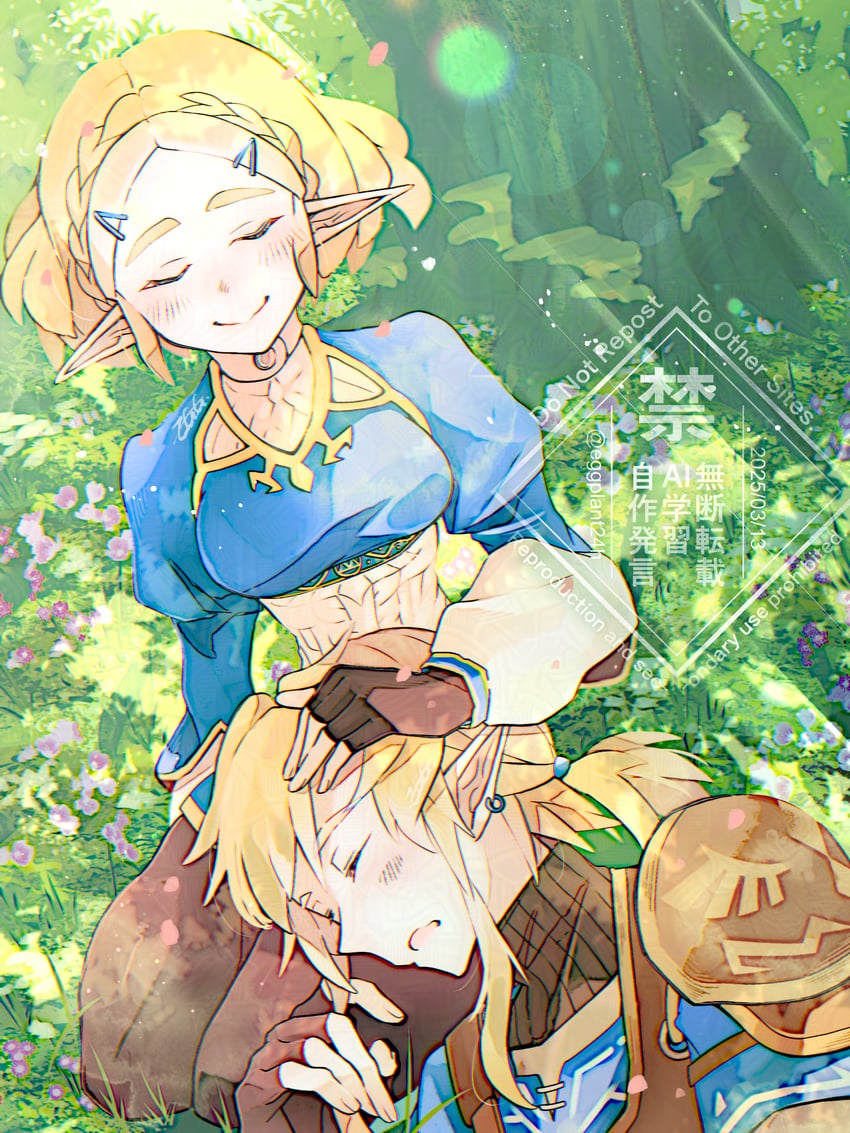 link and princess zelda (the legend of zelda and 1 more) drawn by eggplant24h