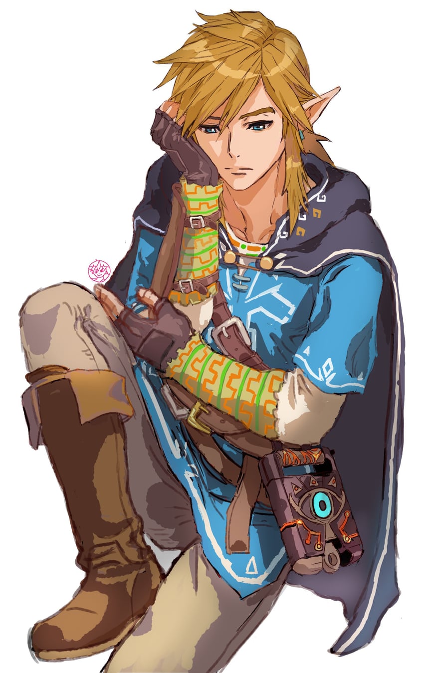 link (the legend of zelda and 1 more) drawn by shiren_(ourboy83)