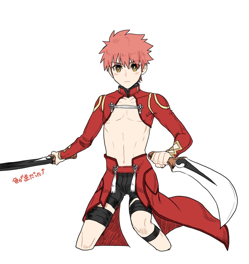 emiya shirou and archer (fate and 1 more) drawn by none_(kameko227)