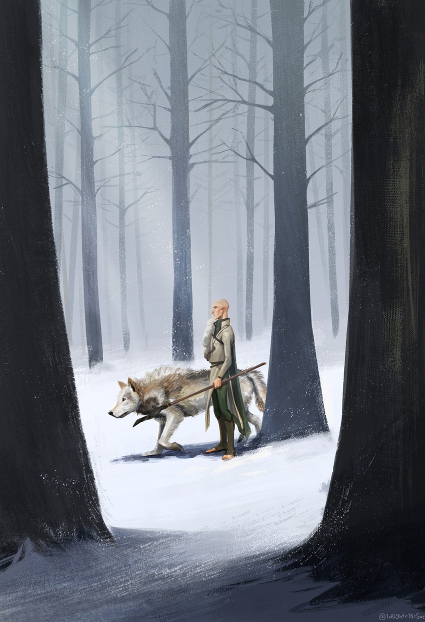 solas (dragon age and 1 more) drawn by cheetahman_(1ddghfr78cswc)