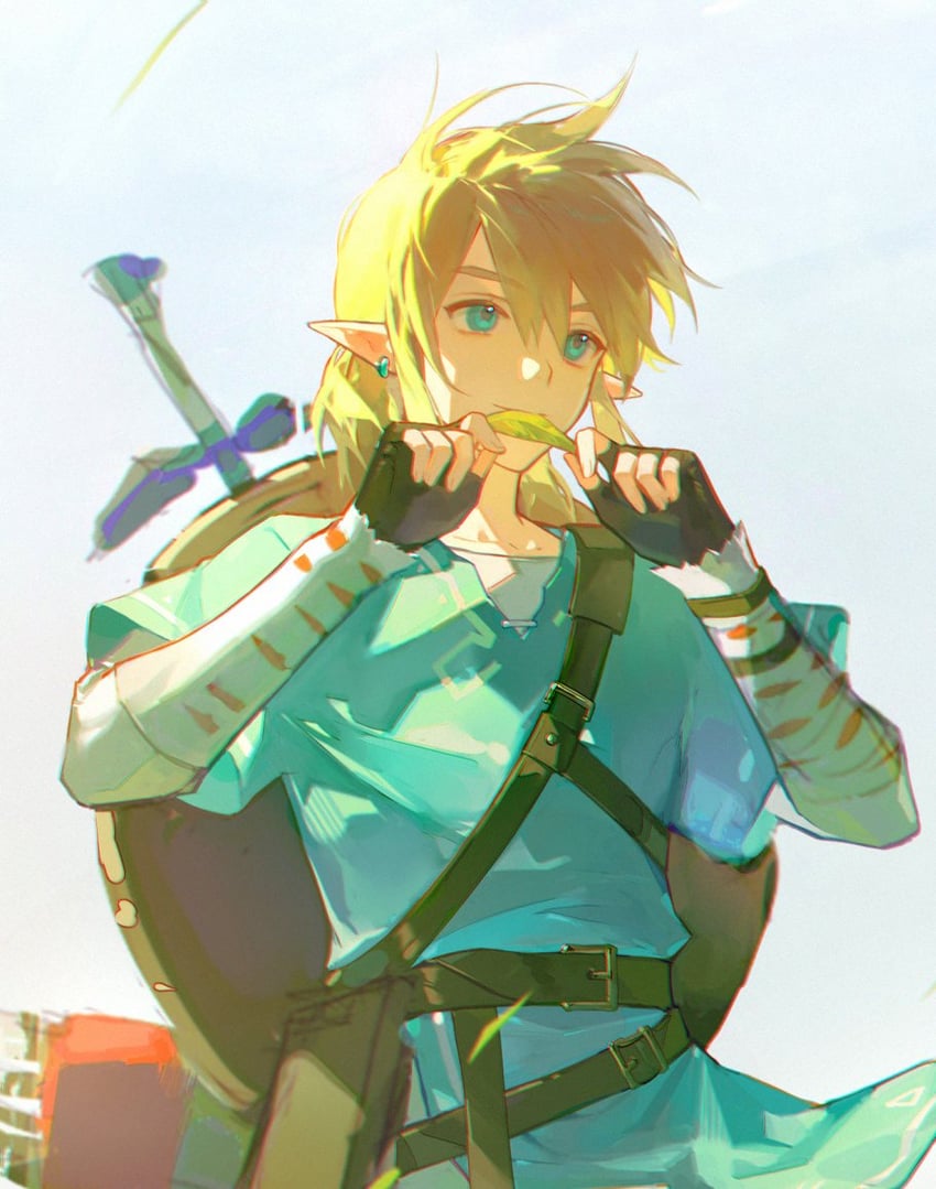 link (the legend of zelda and 1 more) drawn by renjian_shilian