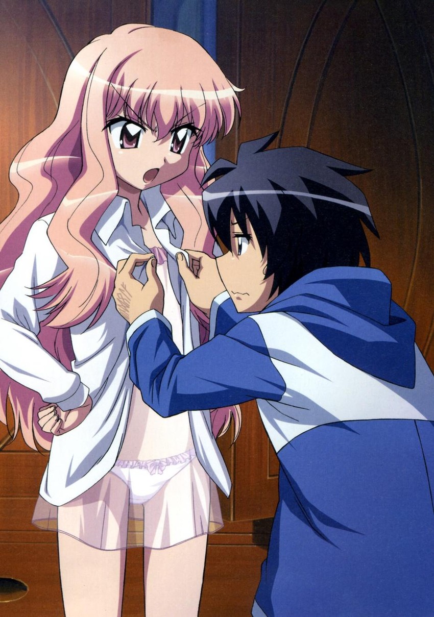 louise francoise le blanc de la valliere and hiraga saito (zero no tsukaima)