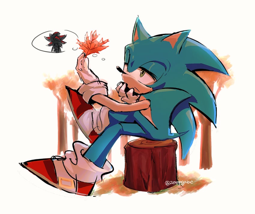 sonic the hedgehog and shadow the hedgehog (sonic) drawn by shapam_(zeepgalae)